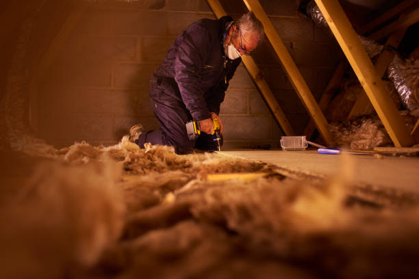 Best Eco-Friendly Insulation in Iowa City, IA